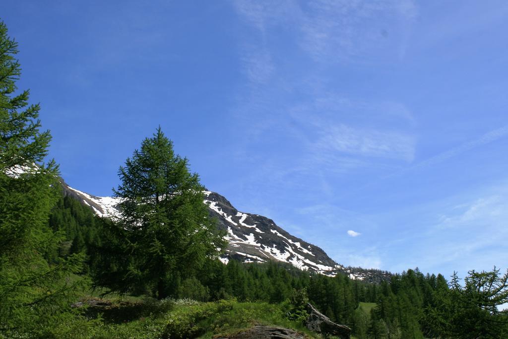 Maison Des Myrtilles Hotel Valgrisenche Buitenkant foto