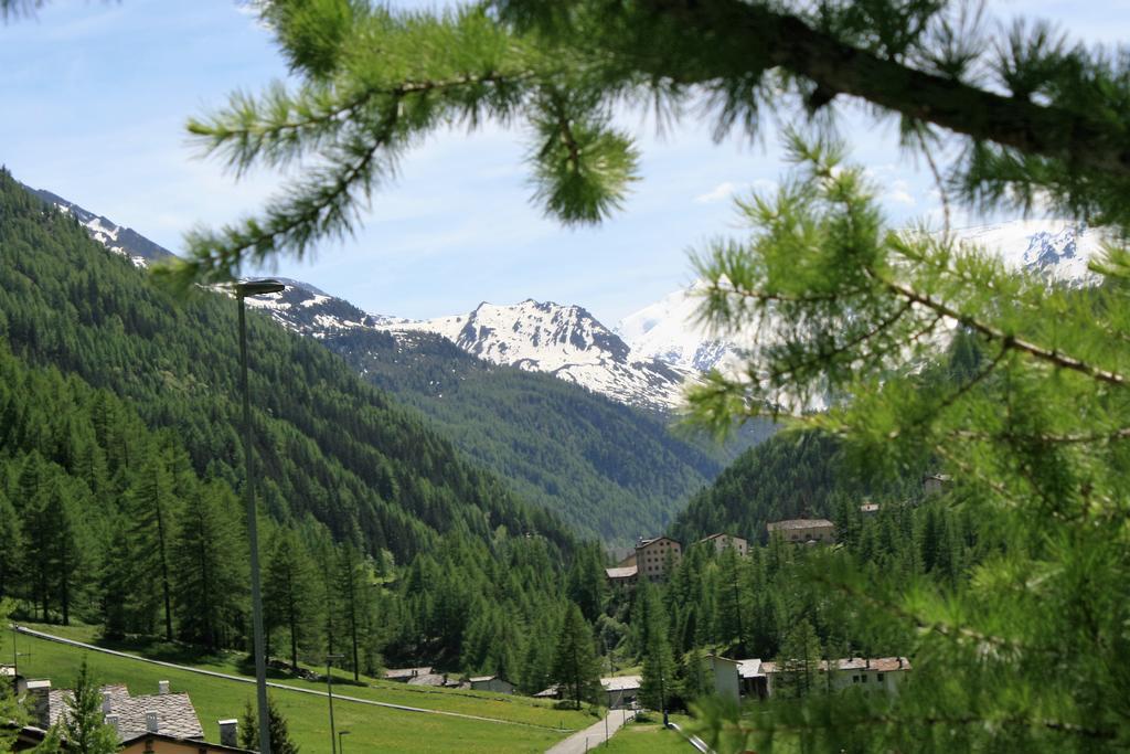 Maison Des Myrtilles Hotel Valgrisenche Buitenkant foto