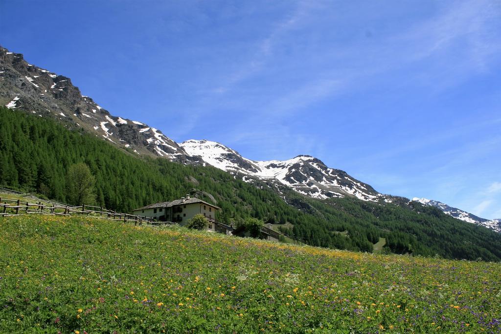 Maison Des Myrtilles Hotel Valgrisenche Buitenkant foto