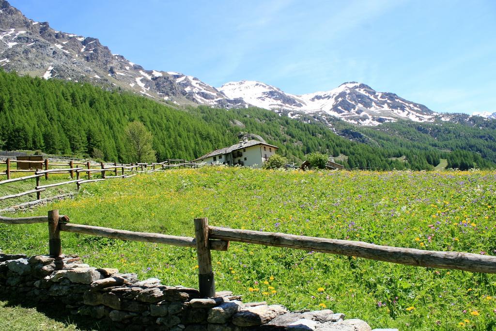 Maison Des Myrtilles Hotel Valgrisenche Buitenkant foto