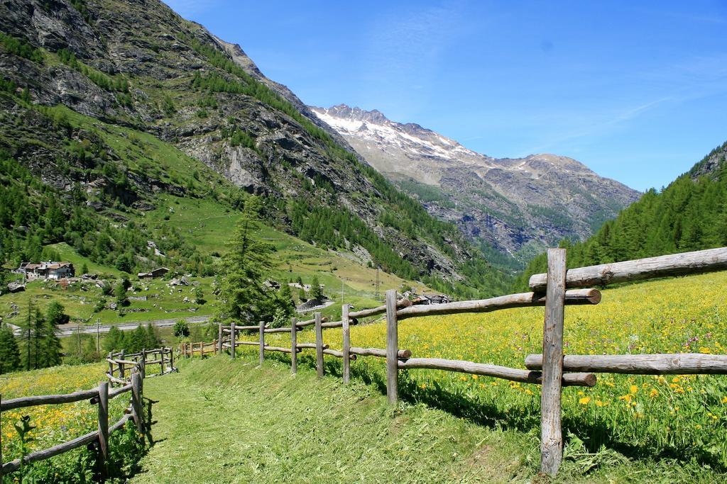 Maison Des Myrtilles Hotel Valgrisenche Buitenkant foto