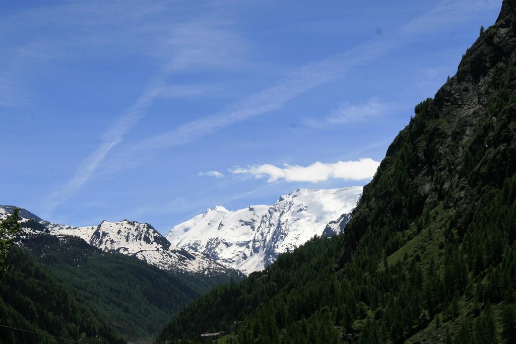 Maison Des Myrtilles Hotel Valgrisenche Buitenkant foto